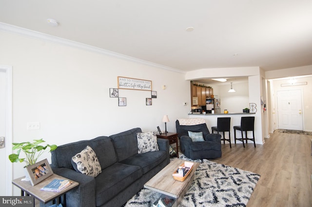 living room featuring crown molding and light hardwood / wood-style flooring