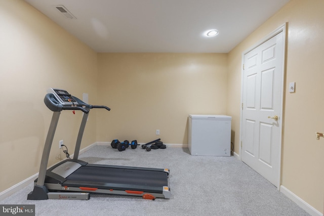 workout area featuring carpet flooring