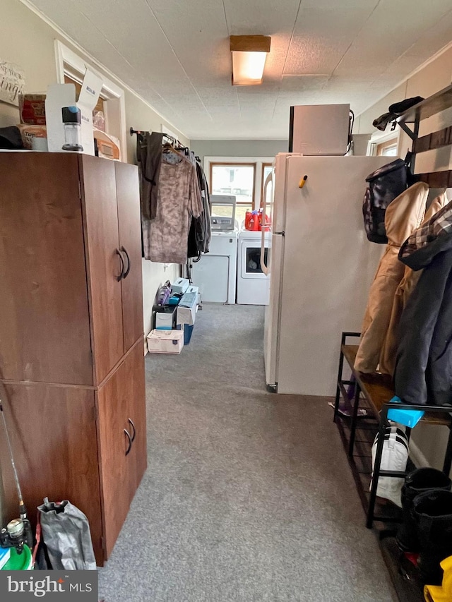 interior space featuring washer / clothes dryer and carpet floors