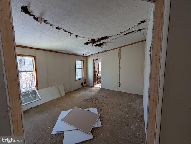 unfurnished room featuring crown molding and a textured ceiling