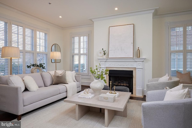 living room with crown molding and a fireplace