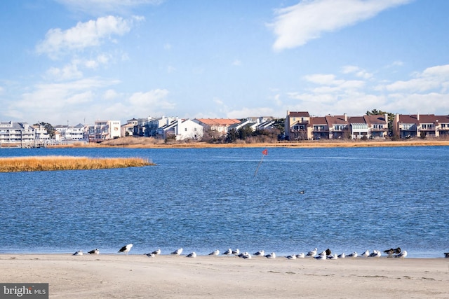 view of water feature with a beach view