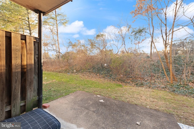 view of yard with a patio area