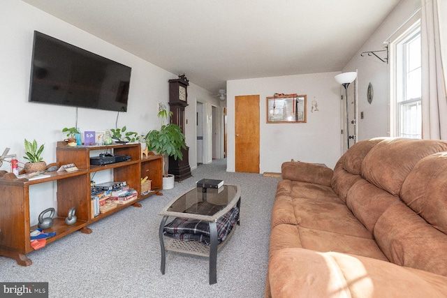 living room with carpet floors