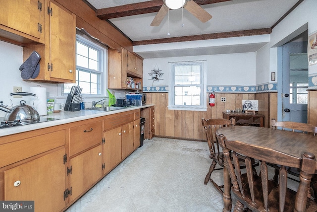 kitchen featuring wooden walls, beamed ceiling, sink, ceiling fan, and black cooktop