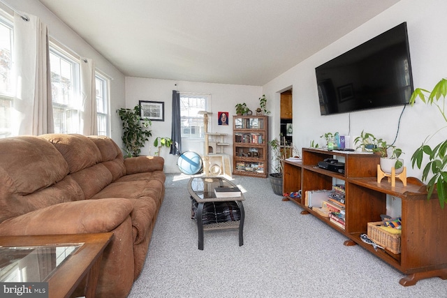 living room with light carpet