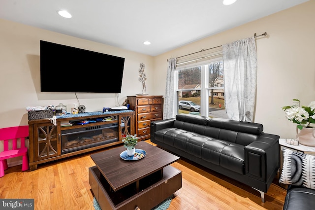 living room with hardwood / wood-style floors