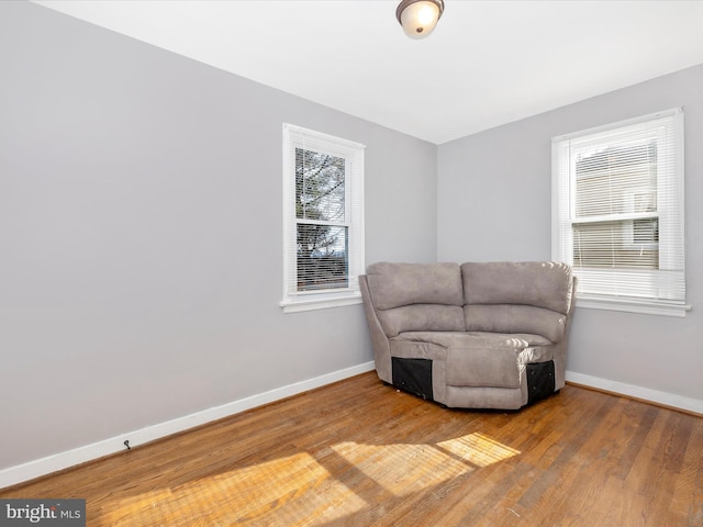 living area featuring wood-type flooring