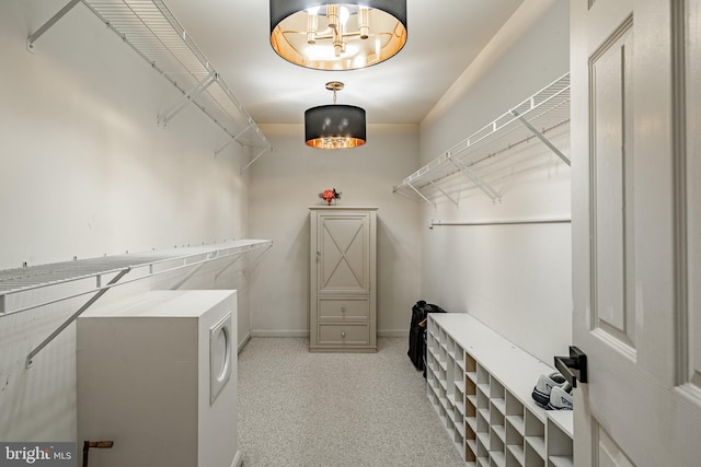 19 Longwood Ln, Newark, DE 19711 - spacious closet with carpet