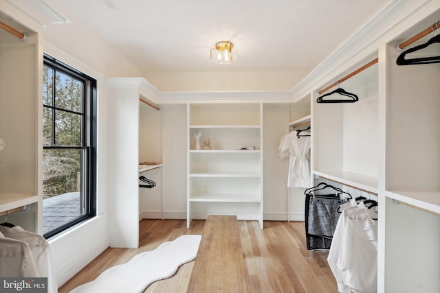 walk in closet featuring light wood-type flooring