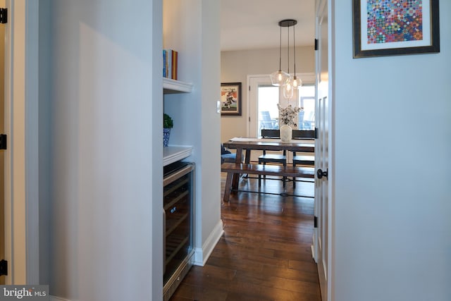 hall featuring wine cooler and dark hardwood / wood-style flooring