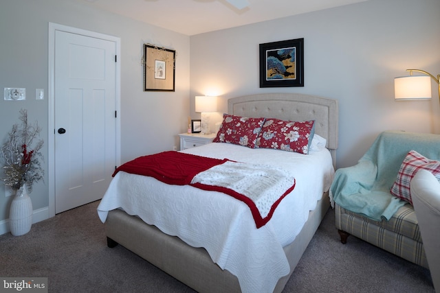 bedroom with carpet floors