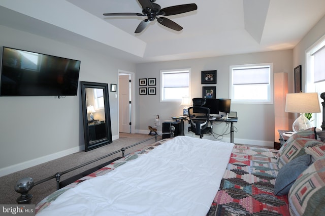 bedroom with multiple windows, carpet, ceiling fan, and a tray ceiling