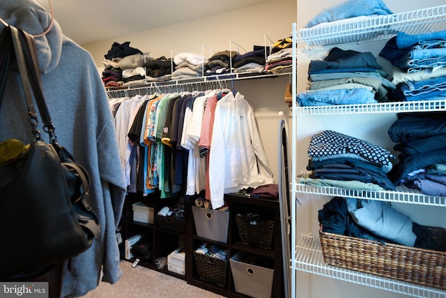 spacious closet featuring carpet floors