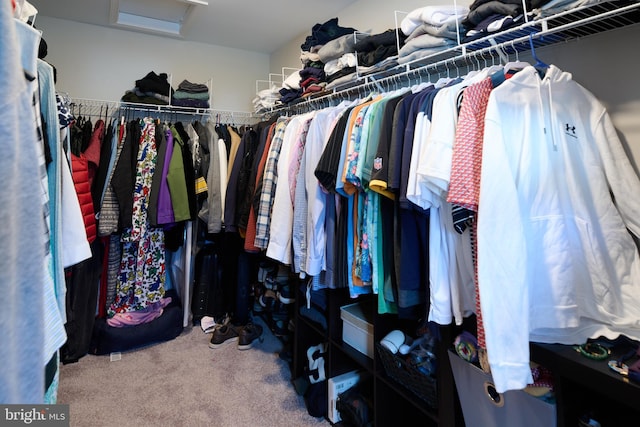 spacious closet featuring carpet flooring