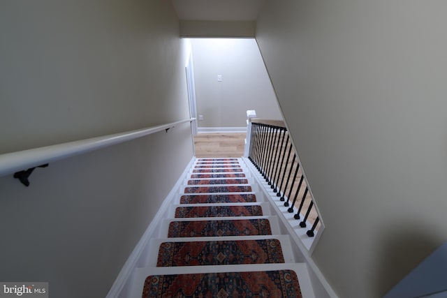 stairway with hardwood / wood-style floors