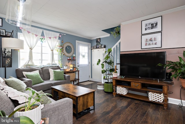 living room with ornamental molding and dark hardwood / wood-style floors