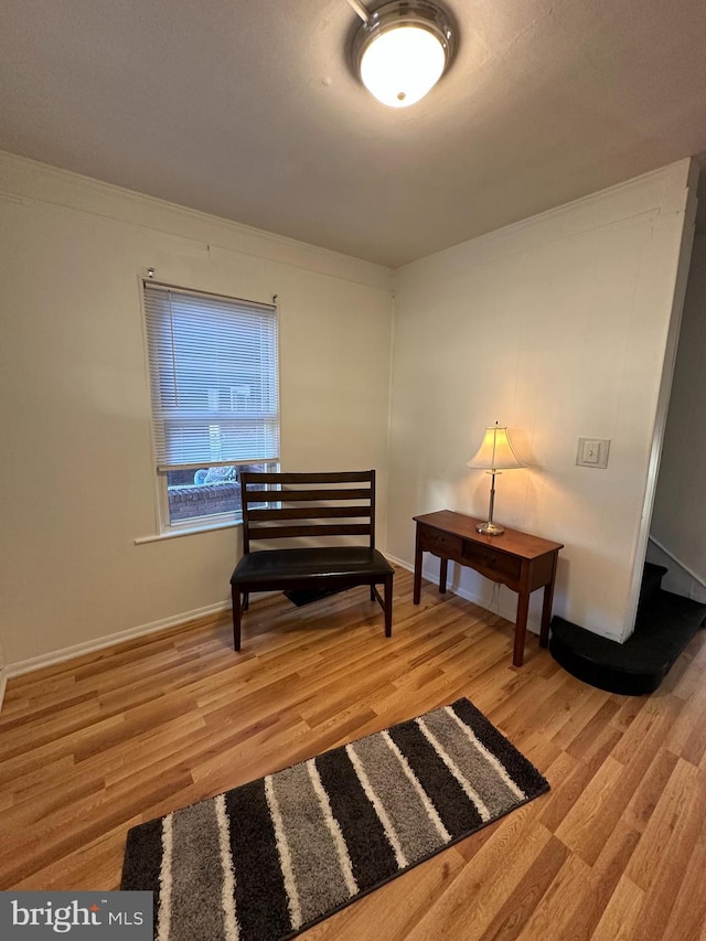 living area featuring light hardwood / wood-style floors