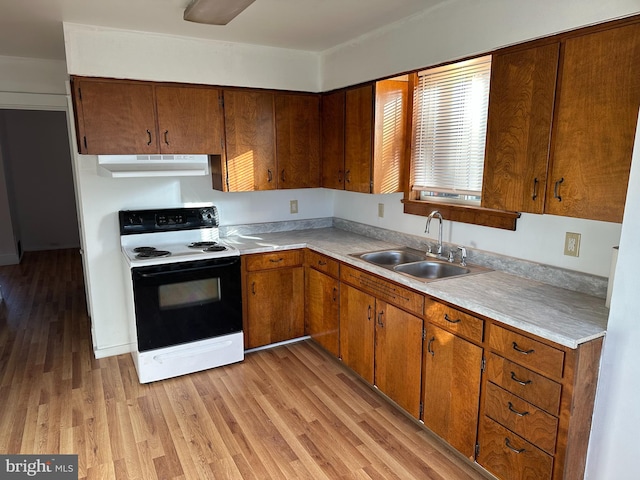 kitchen featuring sink, light hardwood / wood-style flooring, and range with electric stovetop