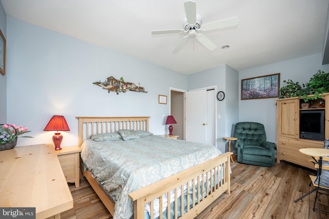 bedroom featuring light hardwood / wood-style floors and ceiling fan