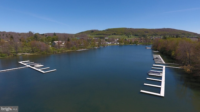 property view of water featuring a mountain view