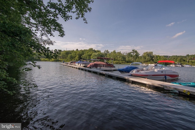 dock area with a water view