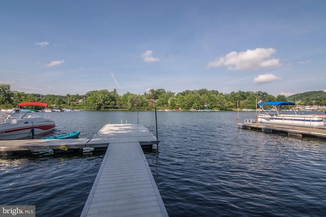 view of dock with a water view