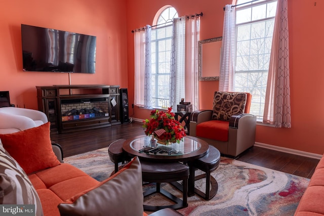 living room featuring hardwood / wood-style floors