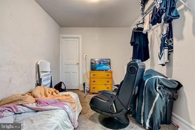 bedroom with carpet floors