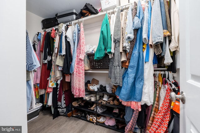 walk in closet with hardwood / wood-style flooring