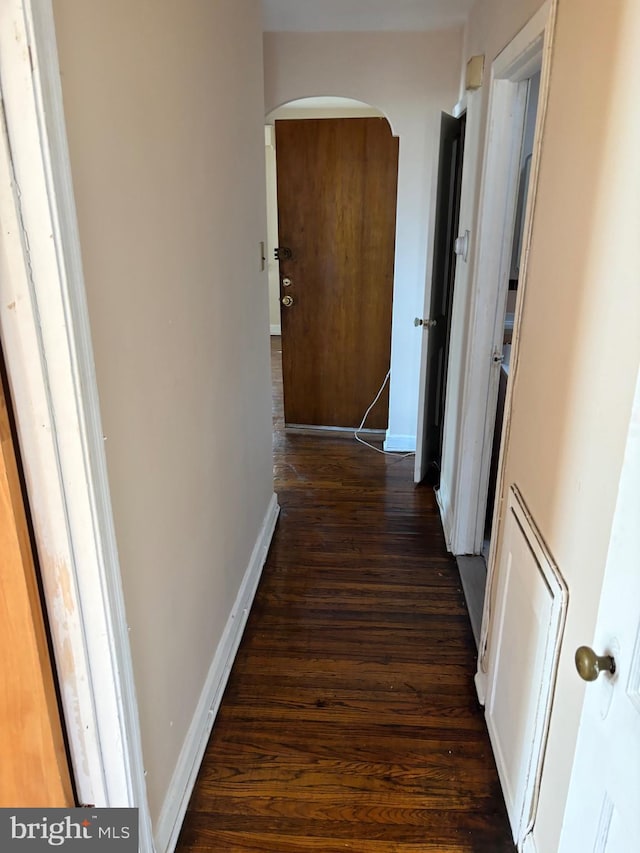 corridor featuring dark hardwood / wood-style flooring