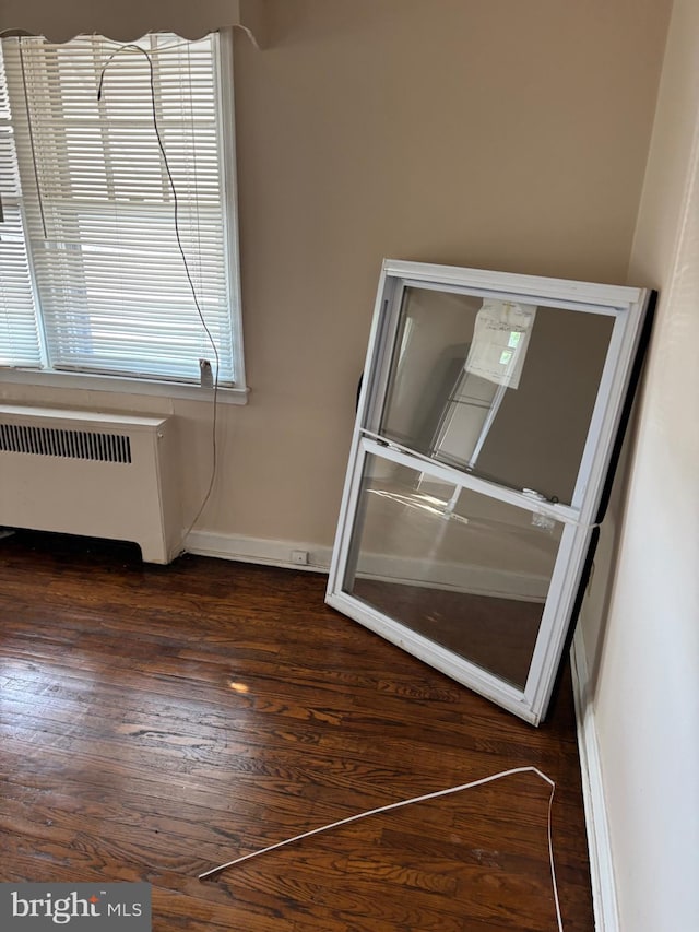 details featuring radiator heating unit and wood-type flooring