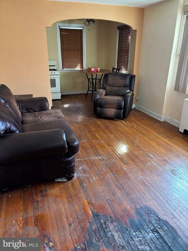 living room featuring hardwood / wood-style flooring