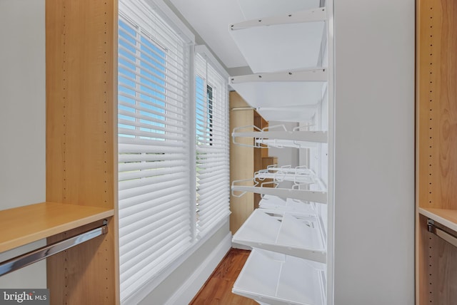 walk in closet with wood-type flooring