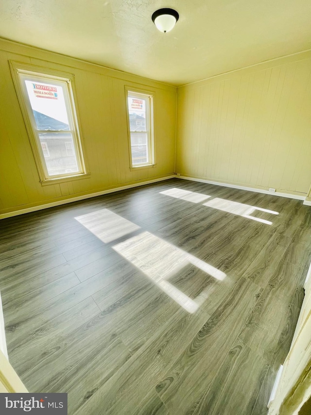 empty room with wood-type flooring