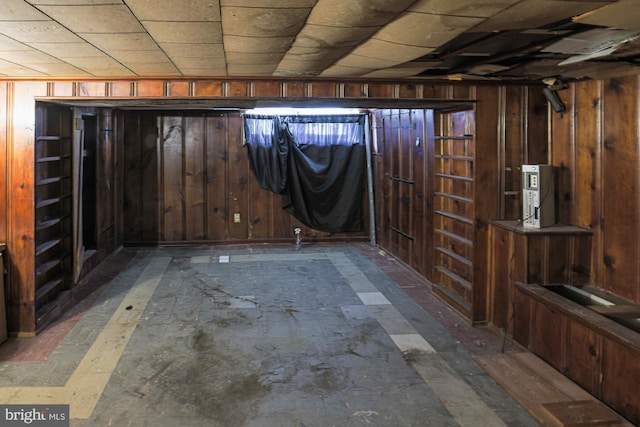 basement with wood walls