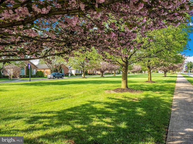 view of community with a yard