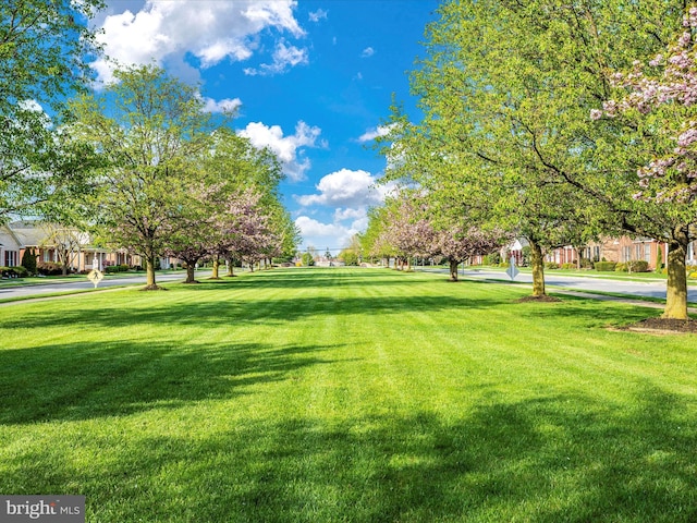 view of home's community featuring a yard