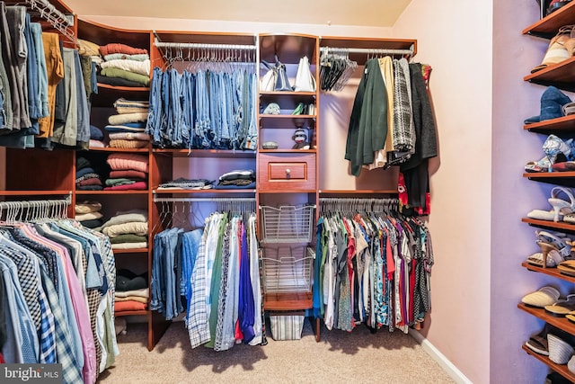 spacious closet featuring light colored carpet