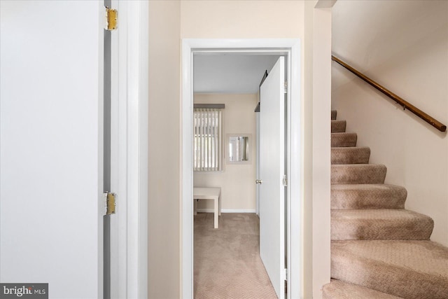 stairs featuring carpet flooring