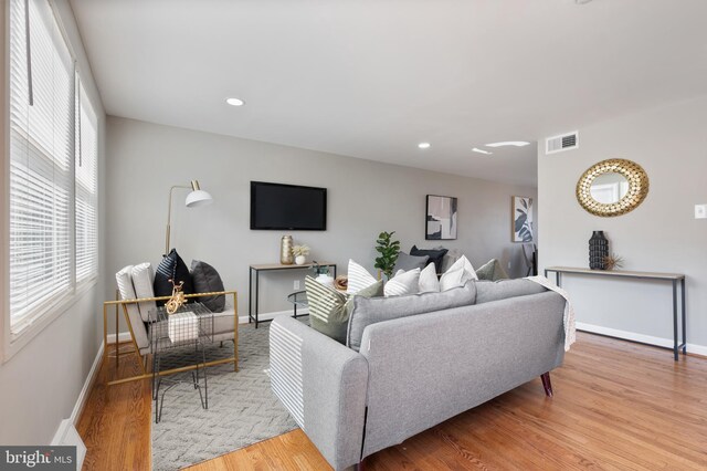 living room with hardwood / wood-style flooring