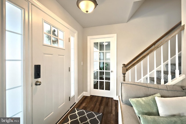 foyer entrance featuring a wealth of natural light and dark hardwood / wood-style floors