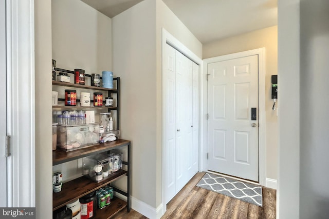 foyer with dark hardwood / wood-style flooring