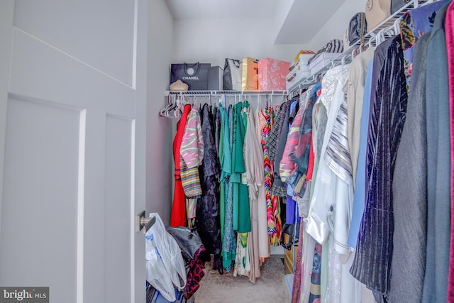 spacious closet with carpet