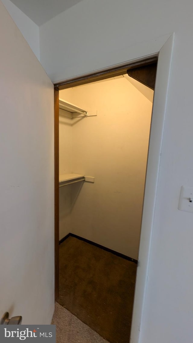 spacious closet with carpet floors