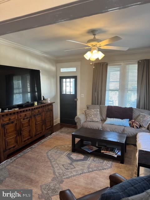 living room featuring ornamental molding, ceiling fan, and light wood-type flooring