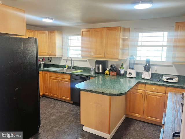 kitchen with sink and black appliances