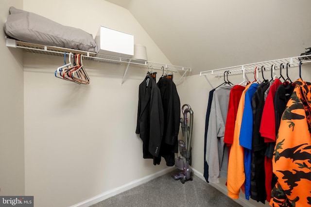 spacious closet featuring carpet and lofted ceiling