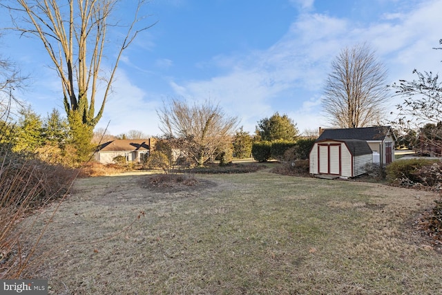 view of yard featuring a storage unit