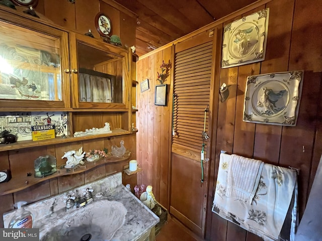 room details with sink and wood walls